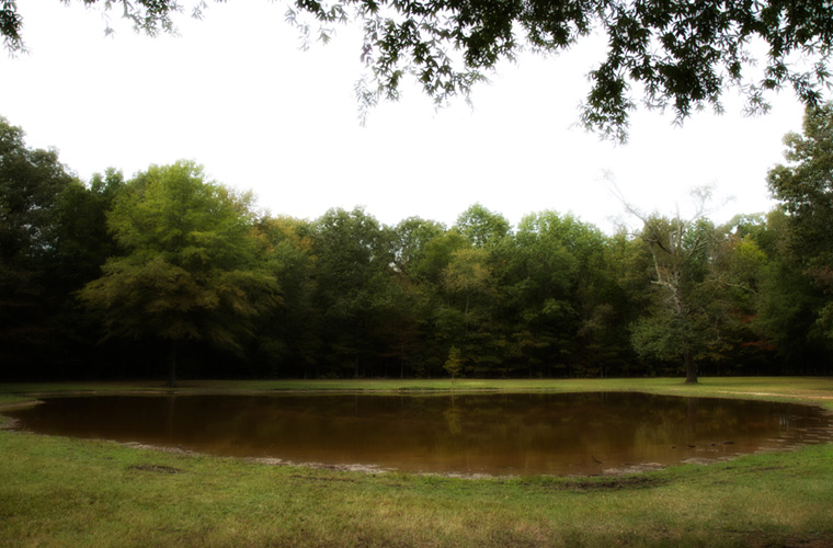 The Bloody Pond at Shiloh (Photo Credit: Civil War Trust)